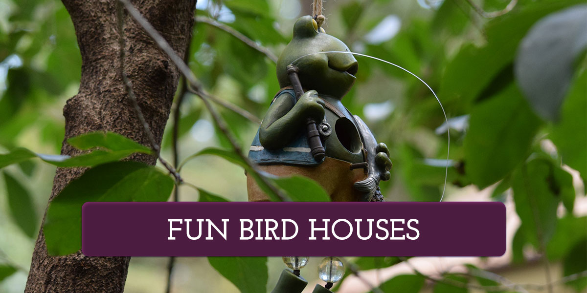 fun-bird-houses