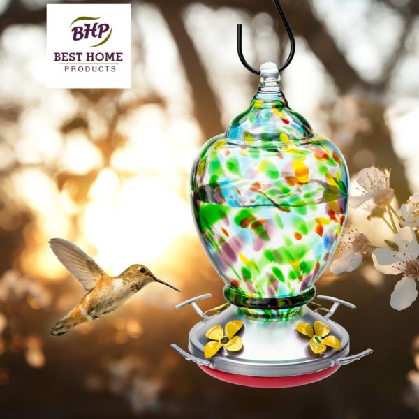 Glass Blown Hummingbird Feeder