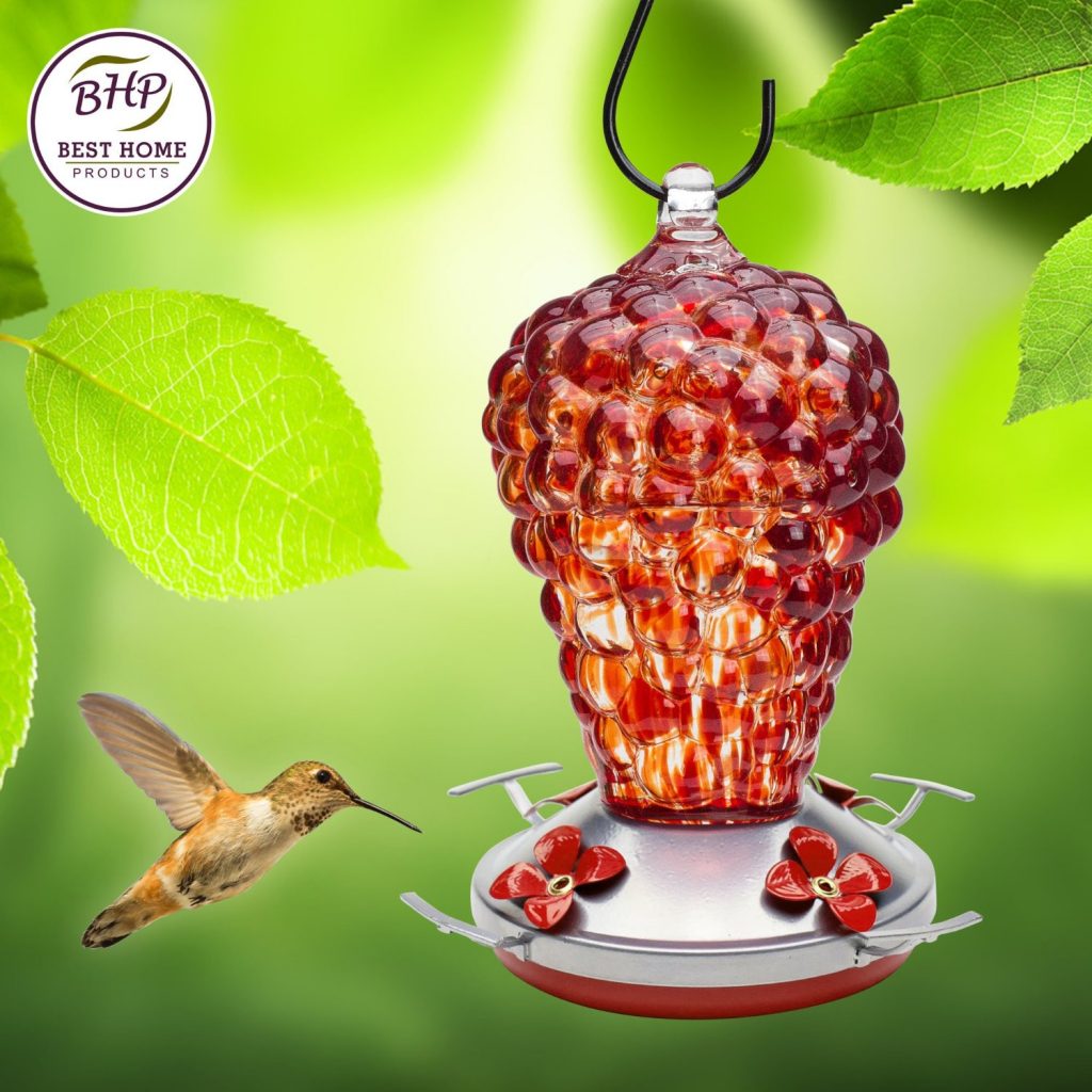 blown-glass-hummingbird-feeder-wild-raspberry-best-home-products