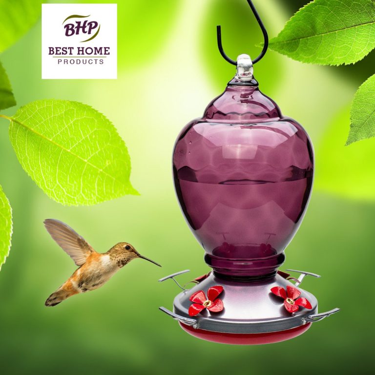 Blown Glass Hummingbird Feeder with Perch (Almond Breeze Purple) - Best ...